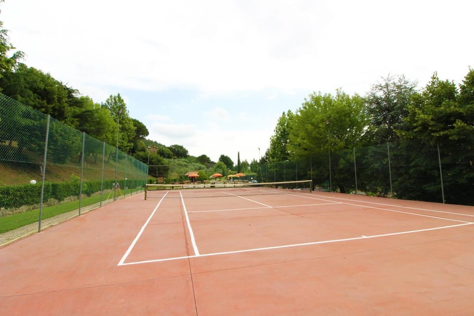 Tennis court, Area and facilities