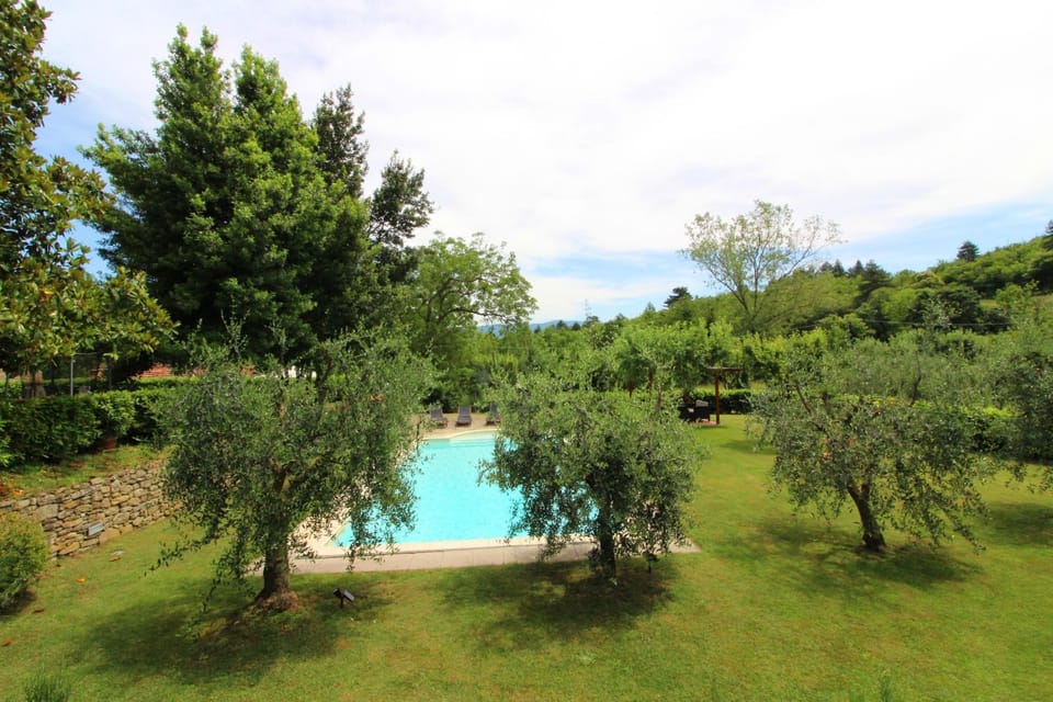 Garden, Swimming pool