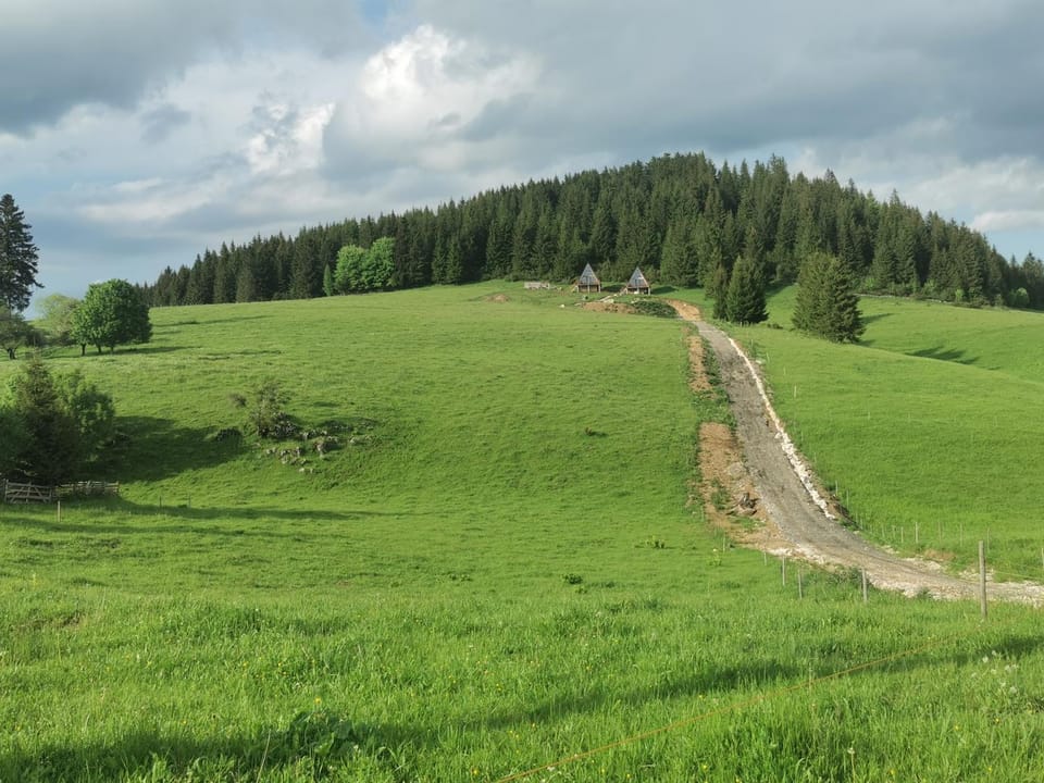 AA Frame Retreat Fundata Chalet in Brașov County