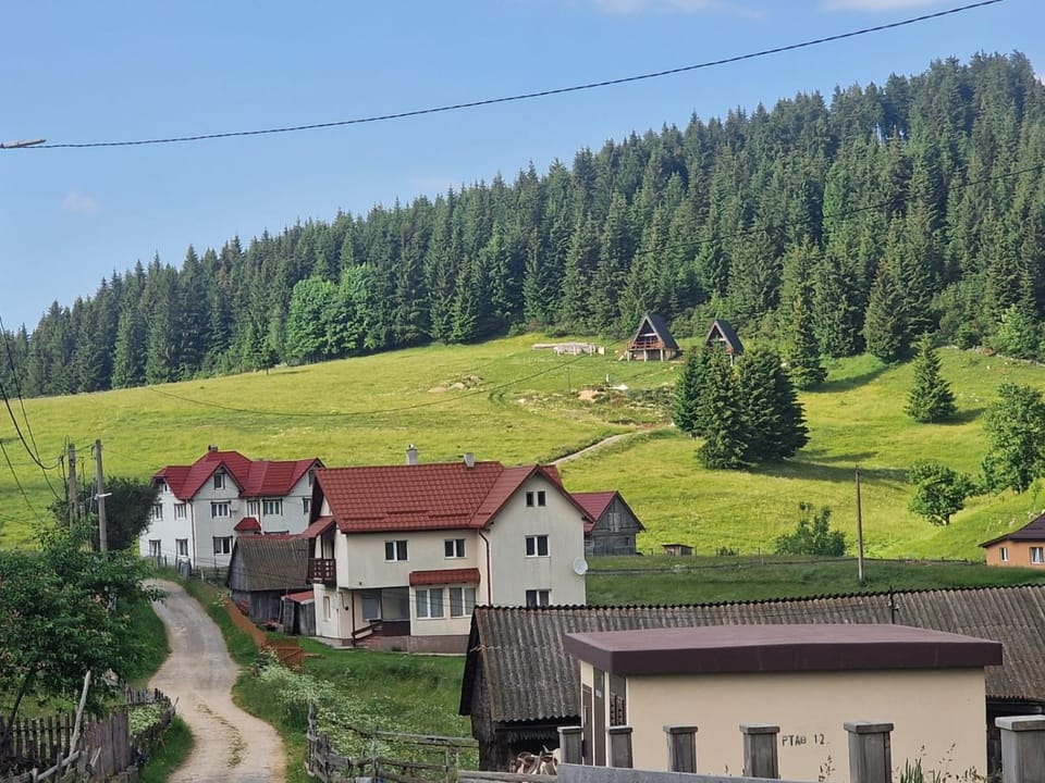AA Frame Retreat Fundata Chalet in Brașov County