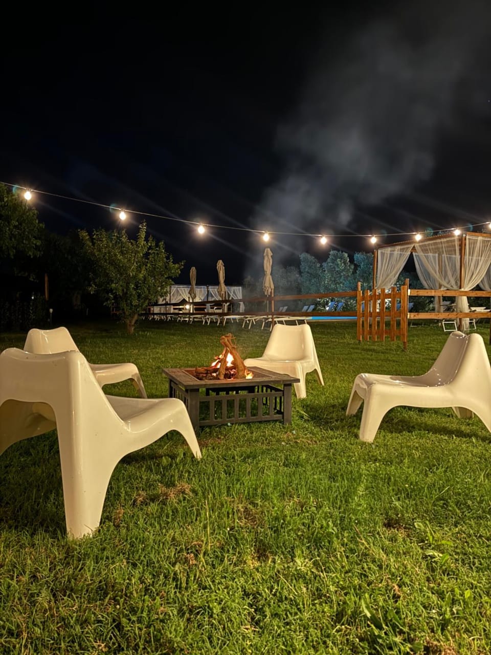 Night, Garden, Evening entertainment, Garden view