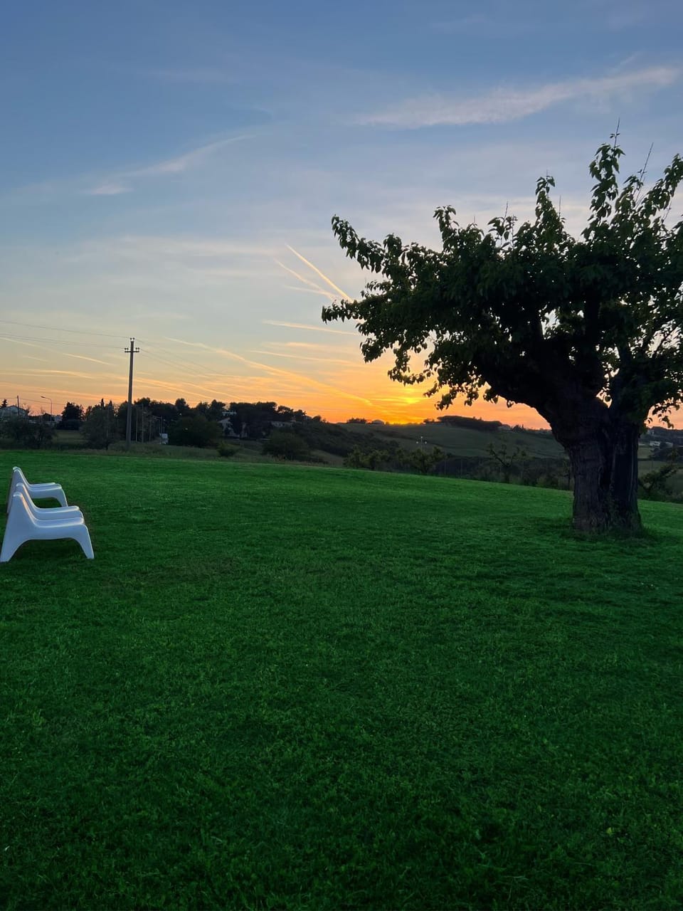Natural landscape, Garden, Garden view, Sunset