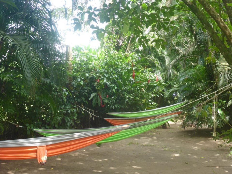 Patio, Garden