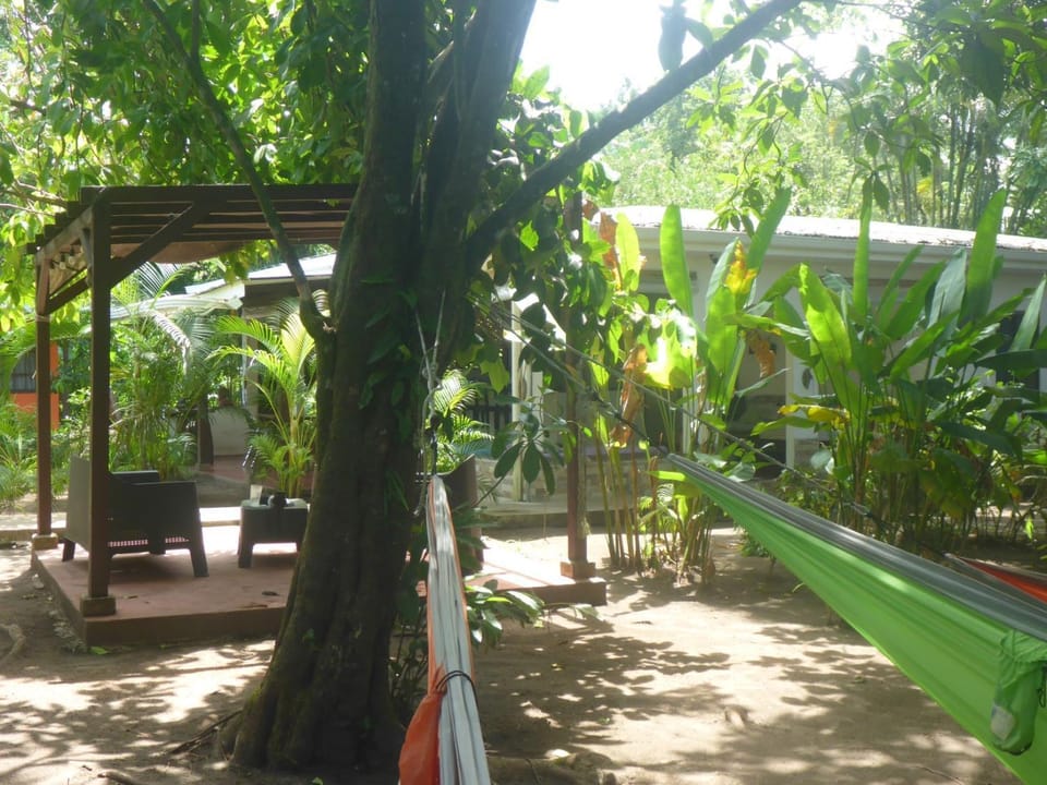 Patio, Communal lounge/ TV room, Garden