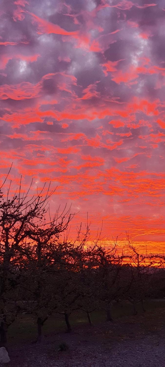 Natural landscape, Sunset