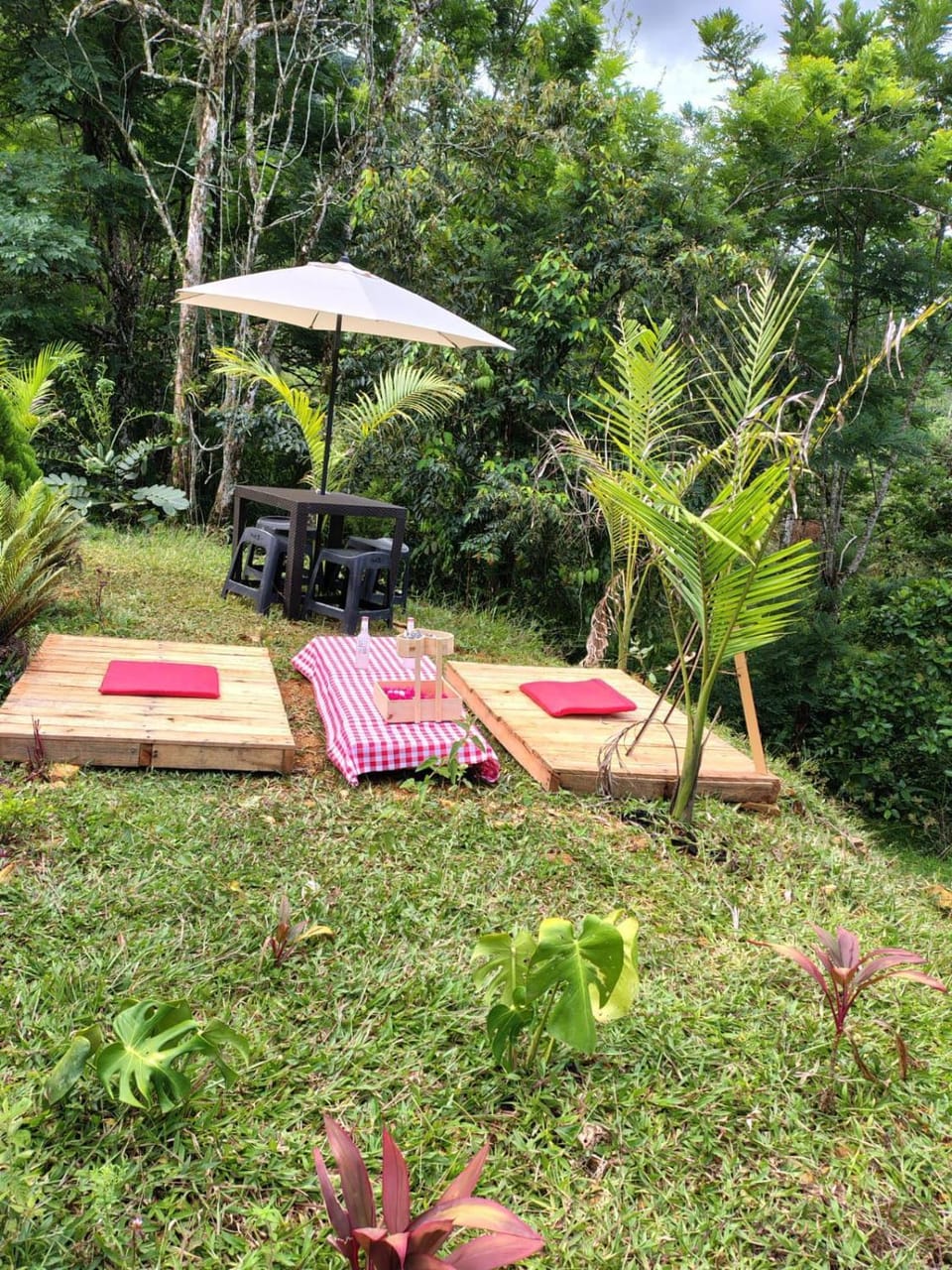 Glamping Verde Melcocho Apartment in Antioquia