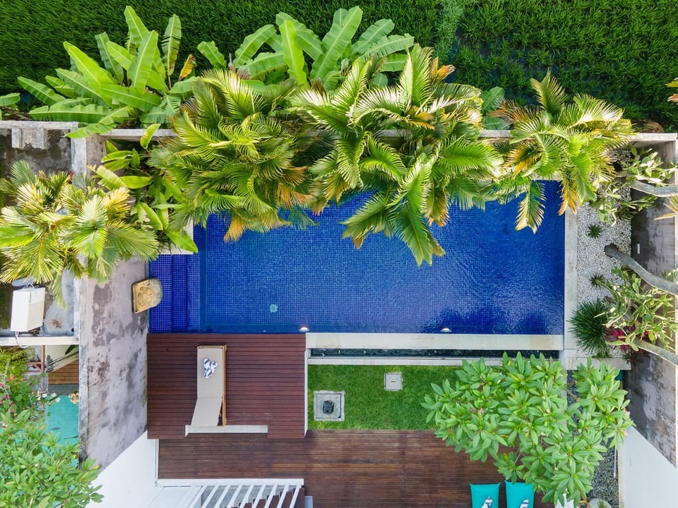 Property building, Garden, Garden view, Swimming pool