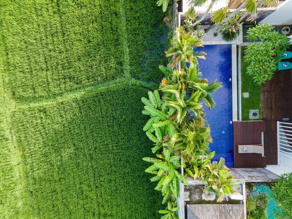 Property building, Garden view, Swimming pool