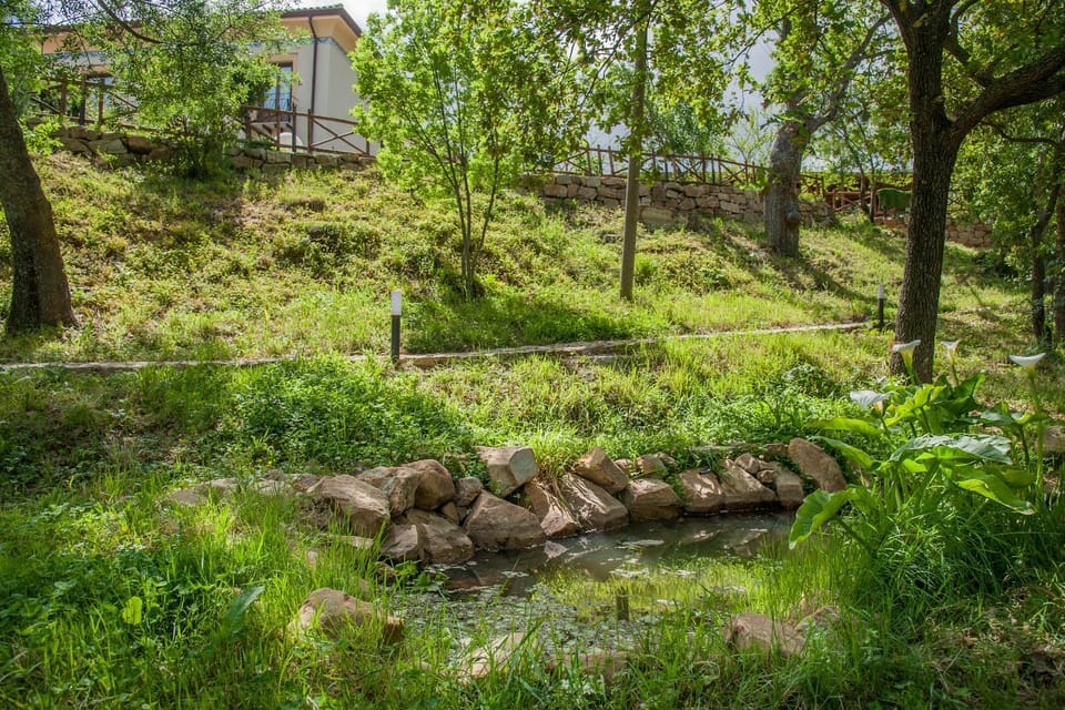 Natural landscape, Garden