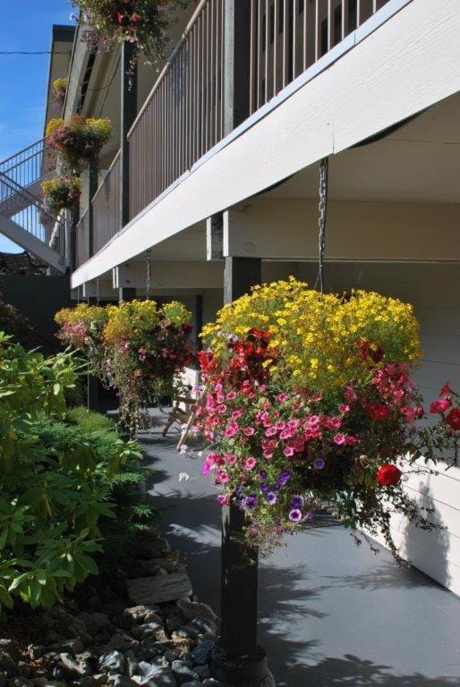 Garden view