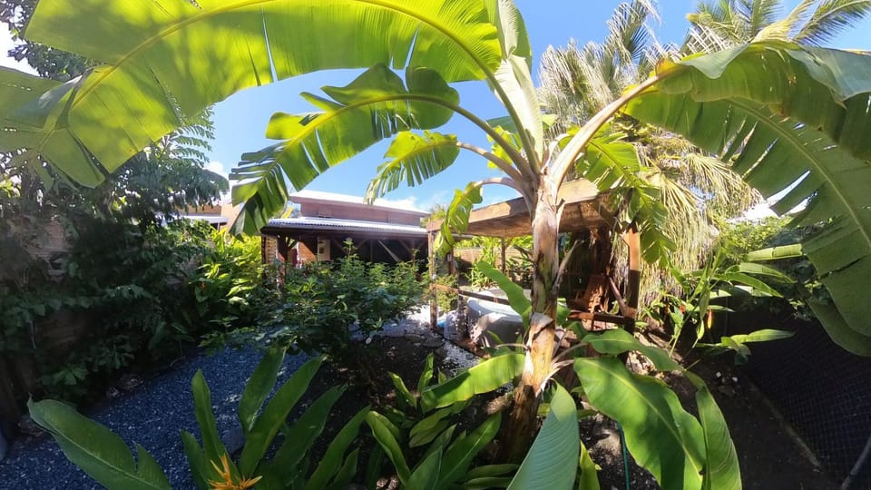 Property building, Garden, Garden view