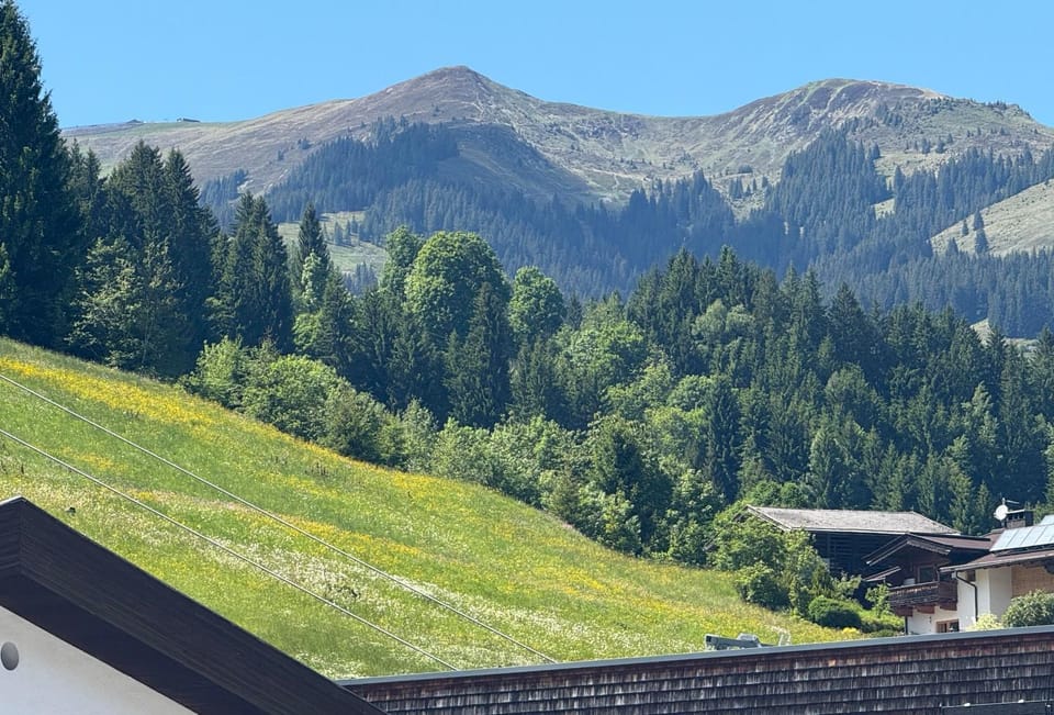 Prosthäusl 1866 Apartment in Salzburgerland