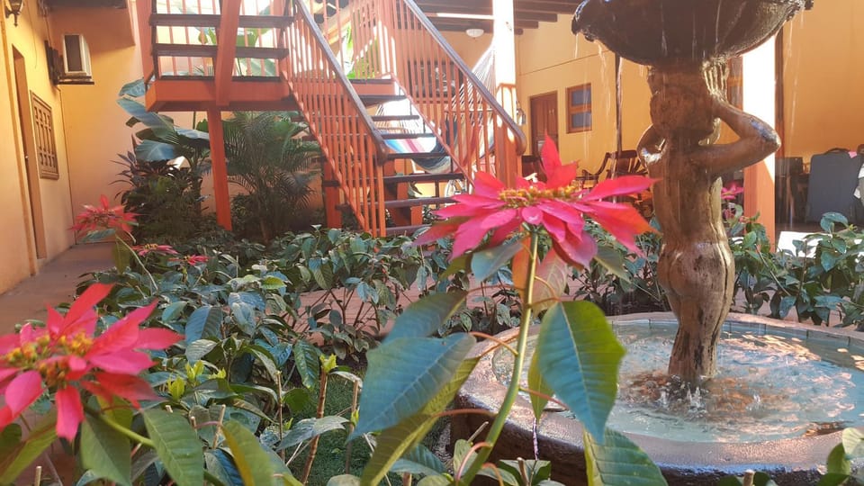 Garden, On site, Garden view
