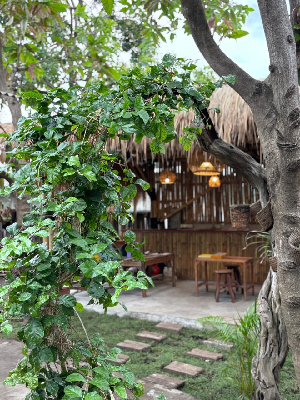 Little Pearl Bed and Breakfast in Pemenang