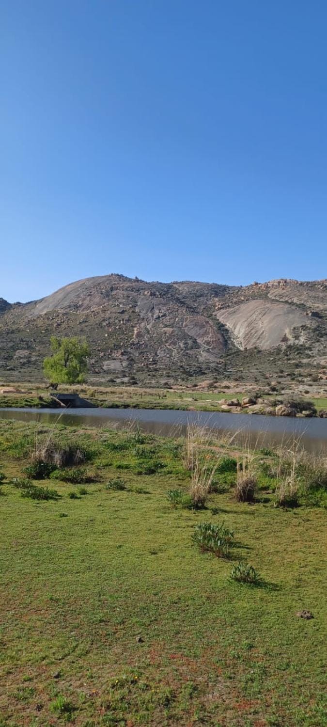River view