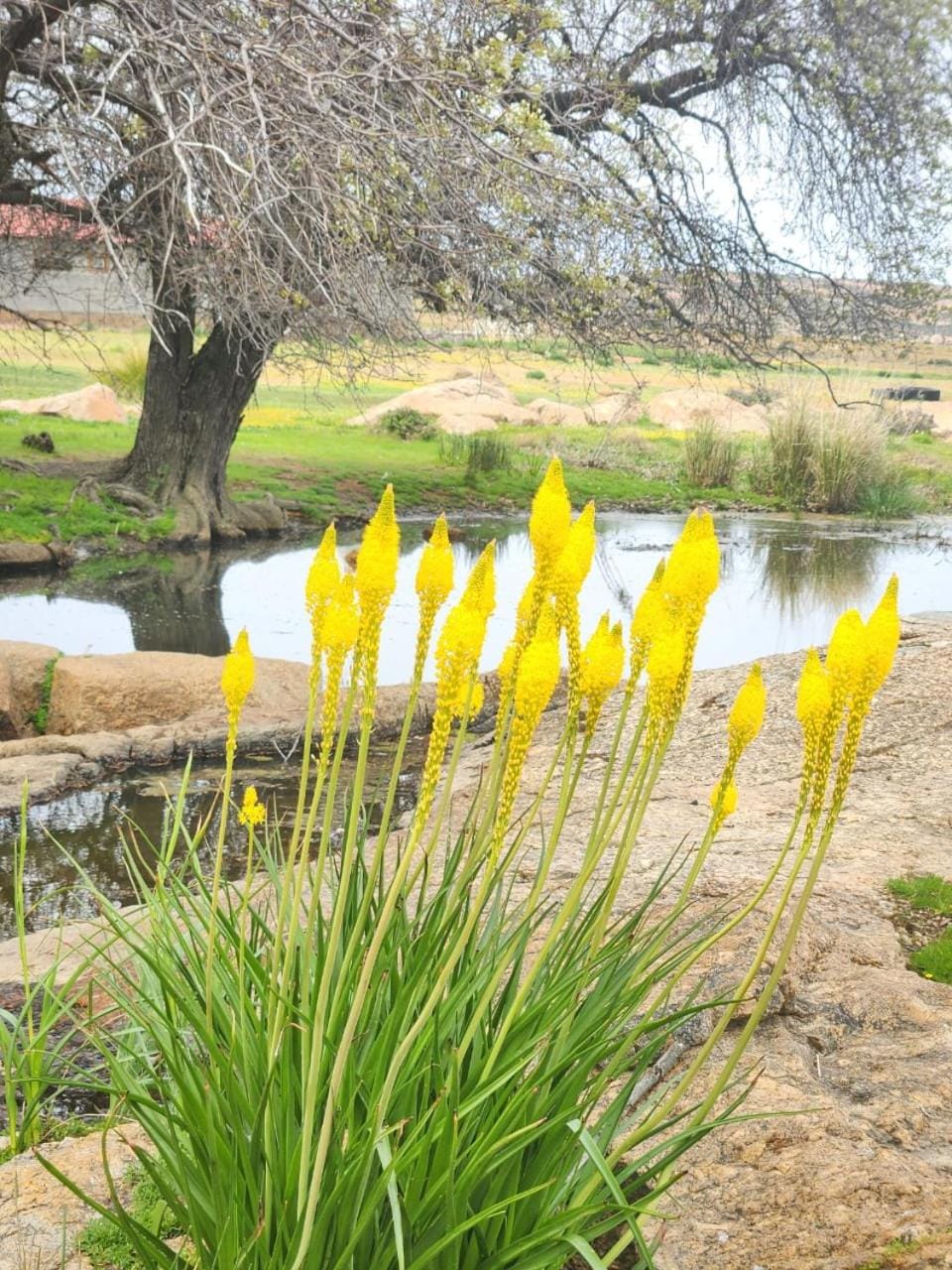 River view