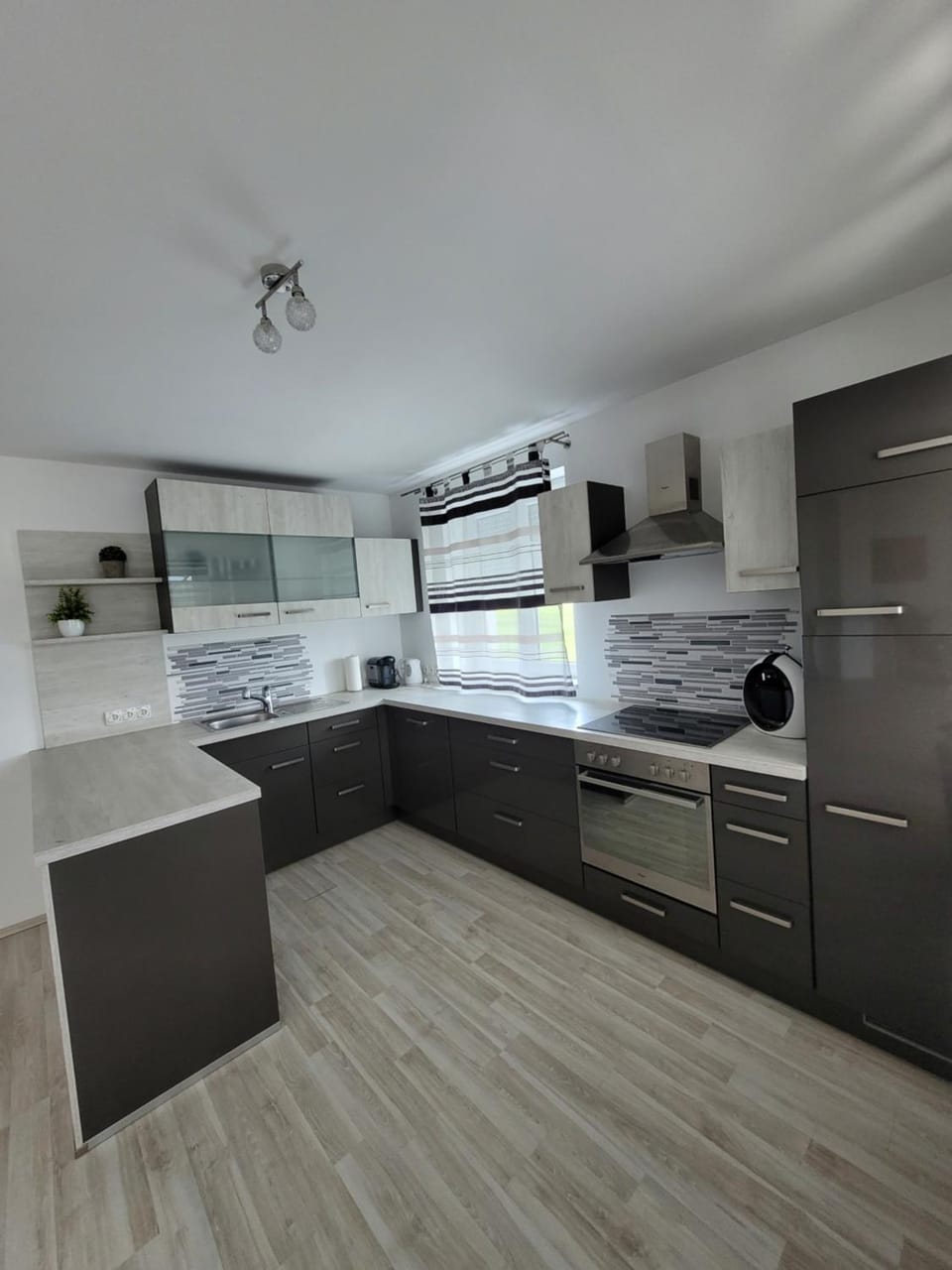 Kitchen or kitchenette, dishwasher, oven, stove