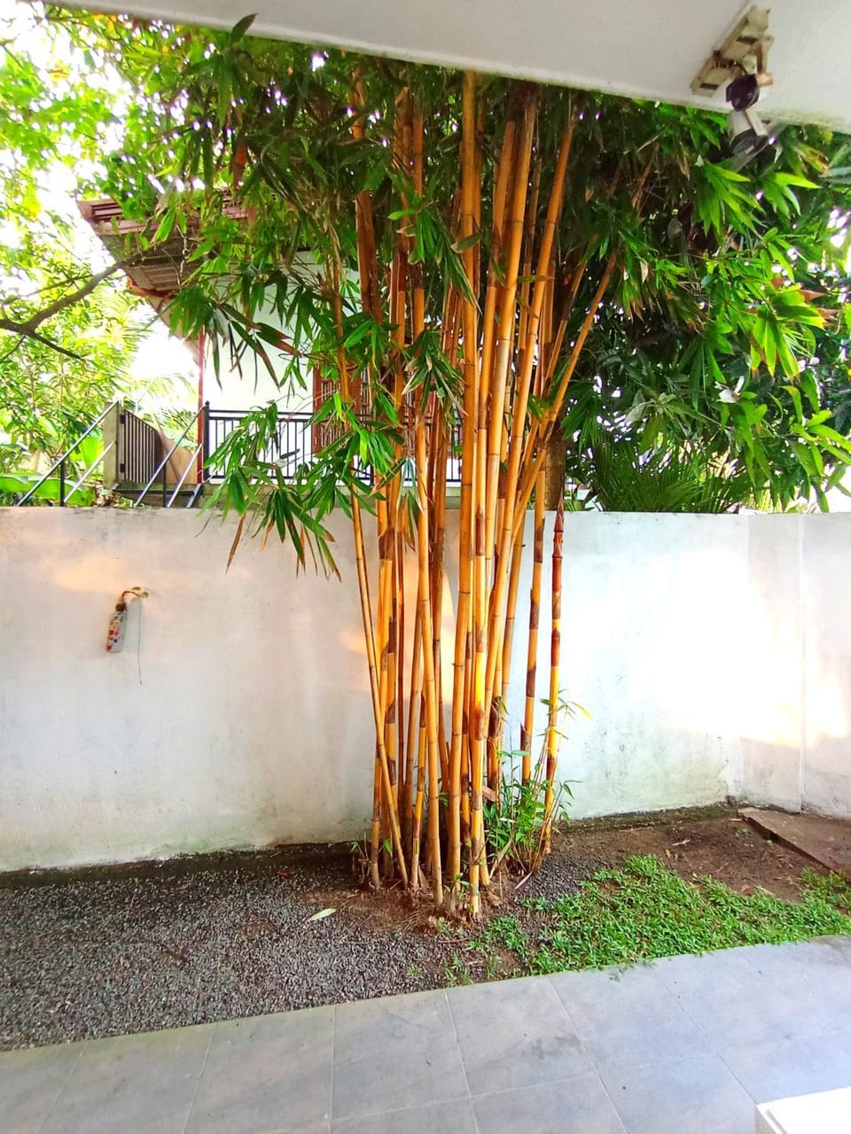 Smart White Villa Bed and Breakfast in Mirissa