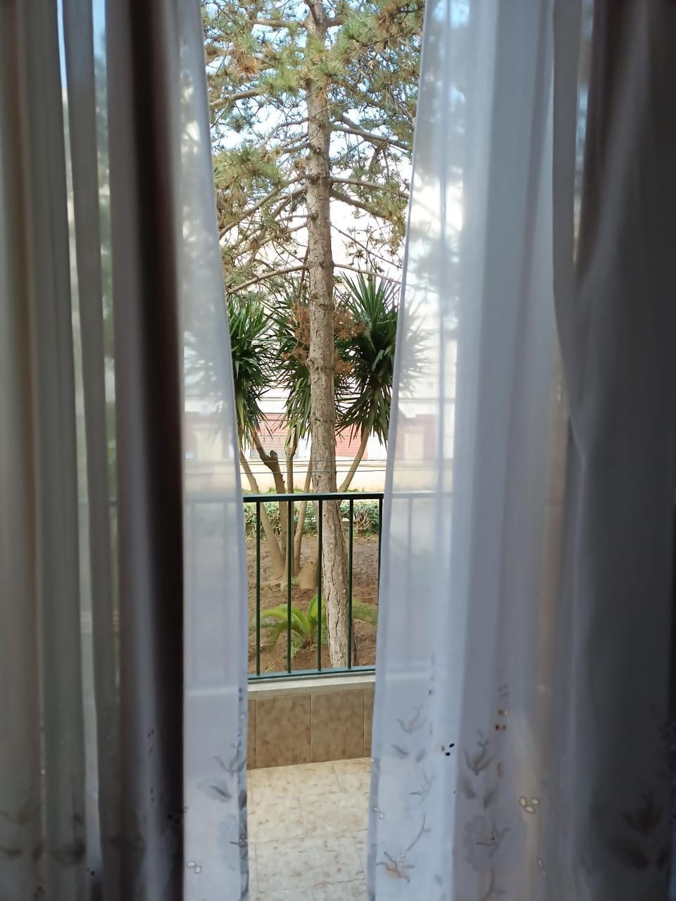 Garden view