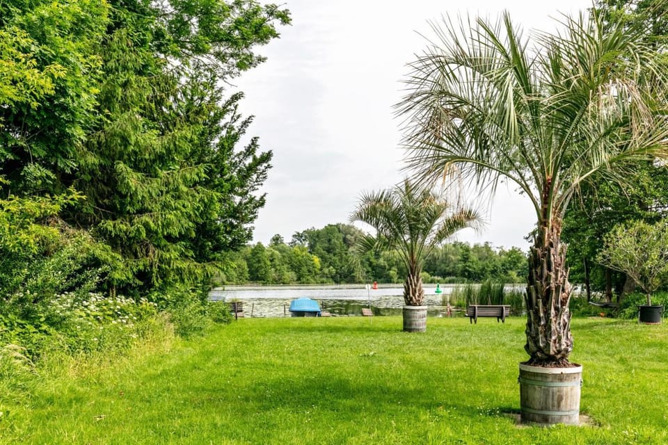 Natural landscape, Garden, Garden view