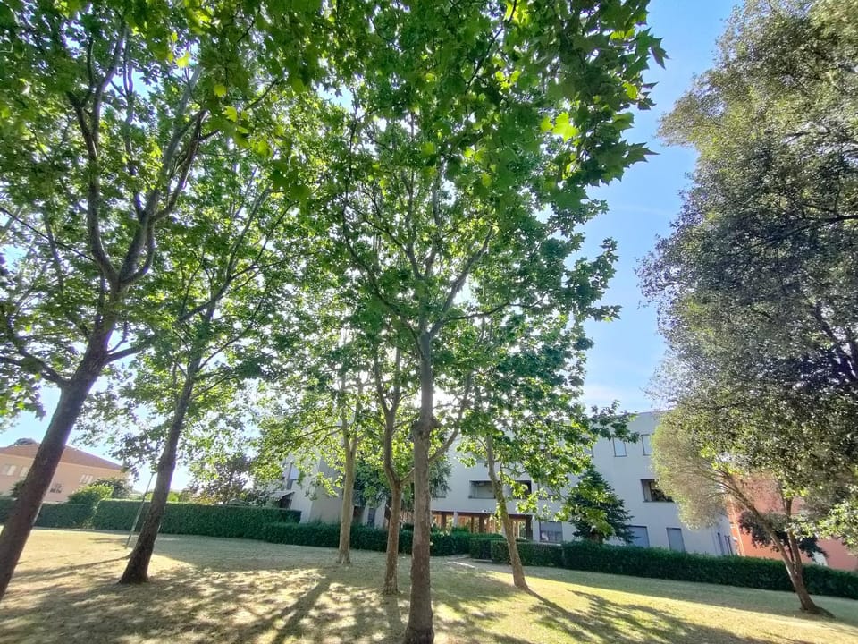La Finestra Rossa Apartment in Campiglia Marittima