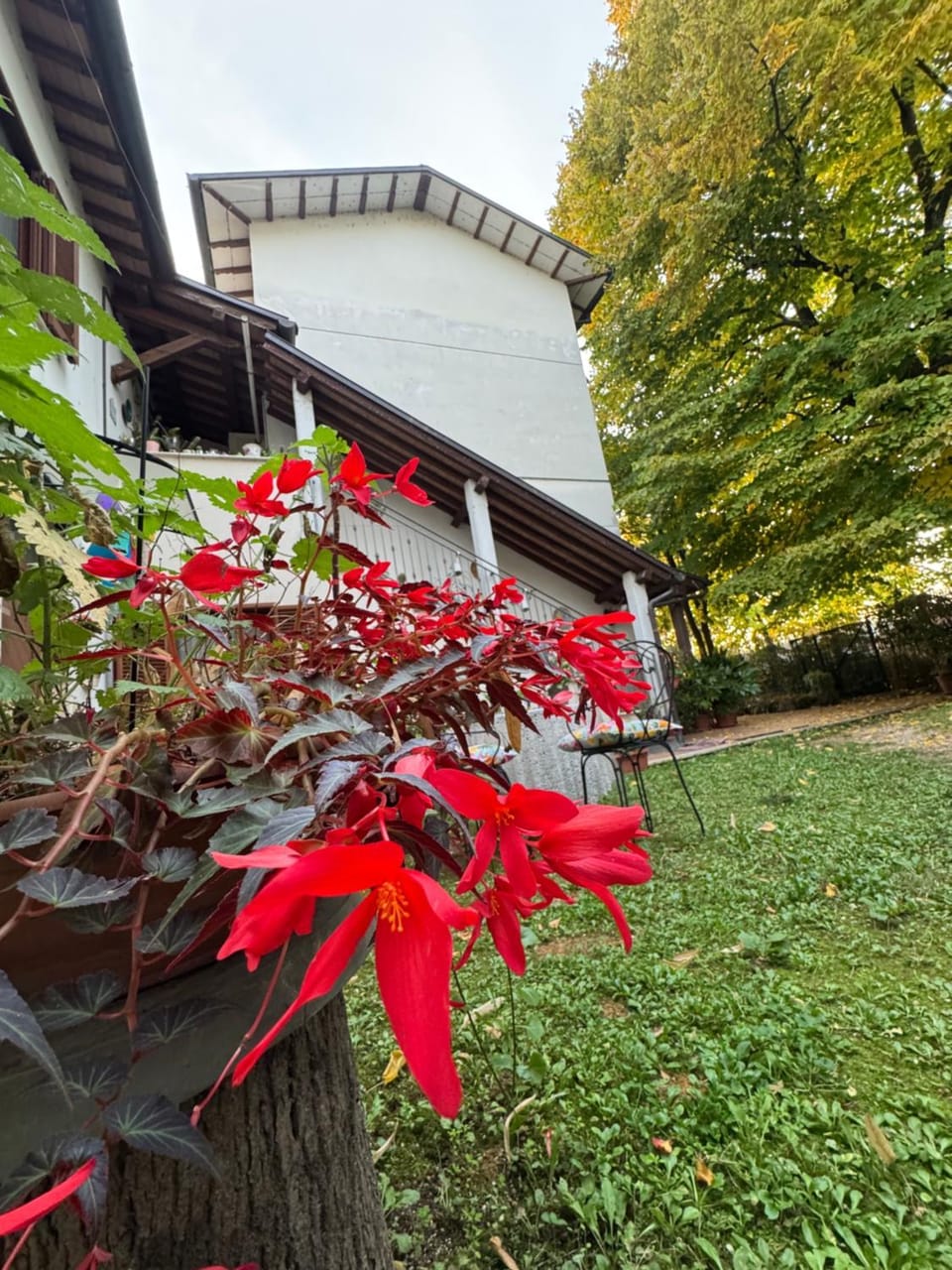 Stella Polare B&B Bed and Breakfast in Umbria