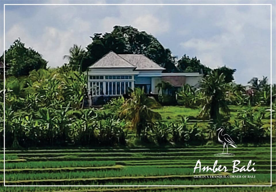 Amber Bali - Villa with serenity Apartment in West Selemadeg