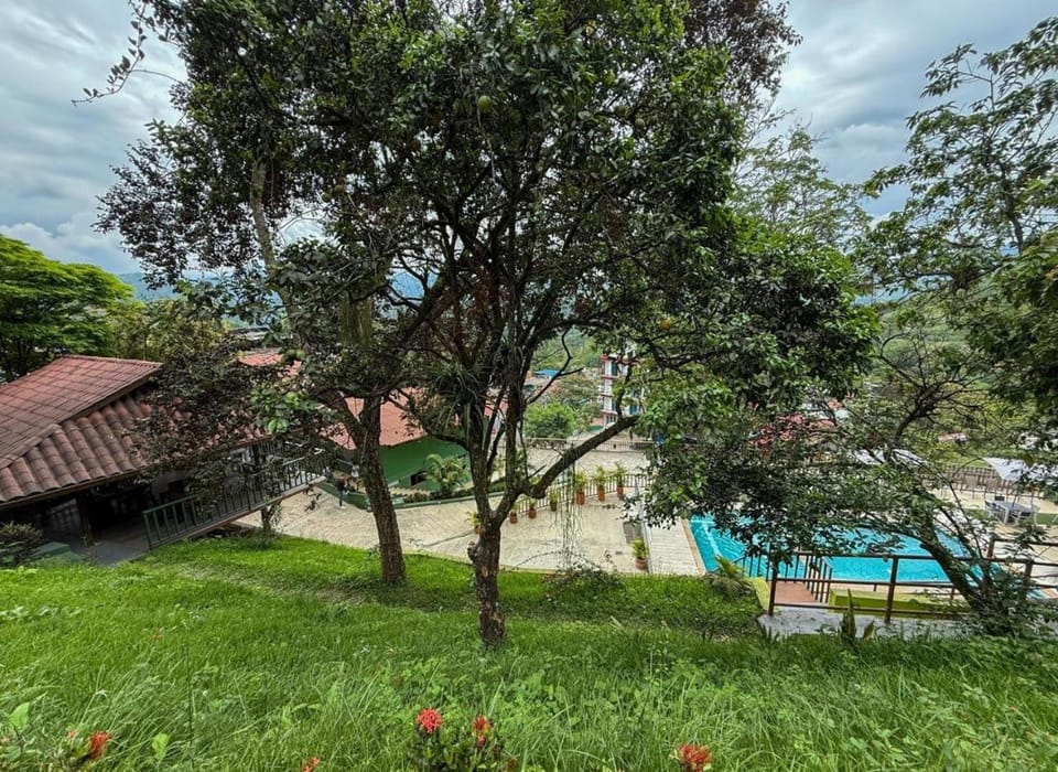 Pool view