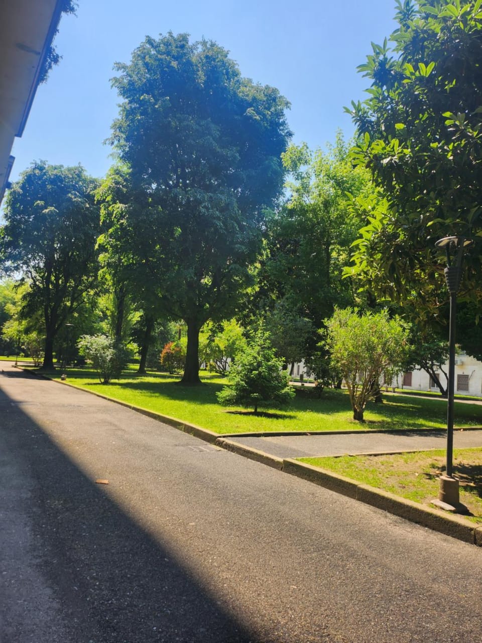 Property building, Garden, Garden view