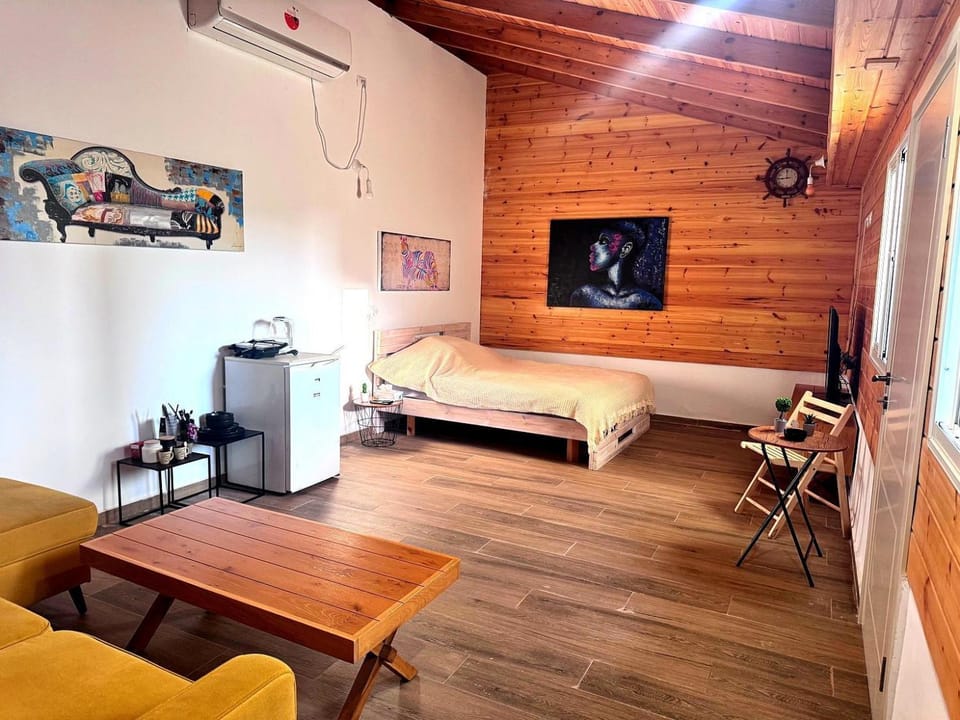 Bed, TV and multimedia, Living room, Photo of the whole room, Seating area, Bedroom, air conditioner