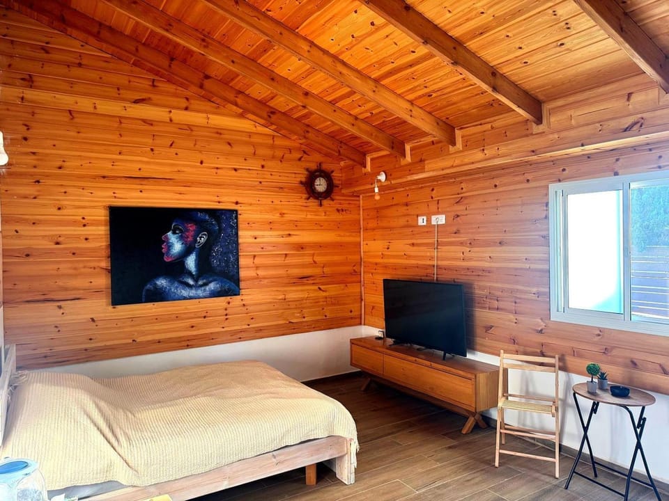 Bed, TV and multimedia, Evening entertainment, Bedroom