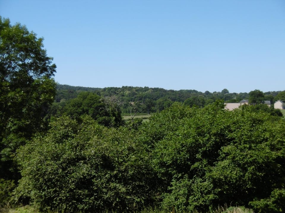 Natural landscape