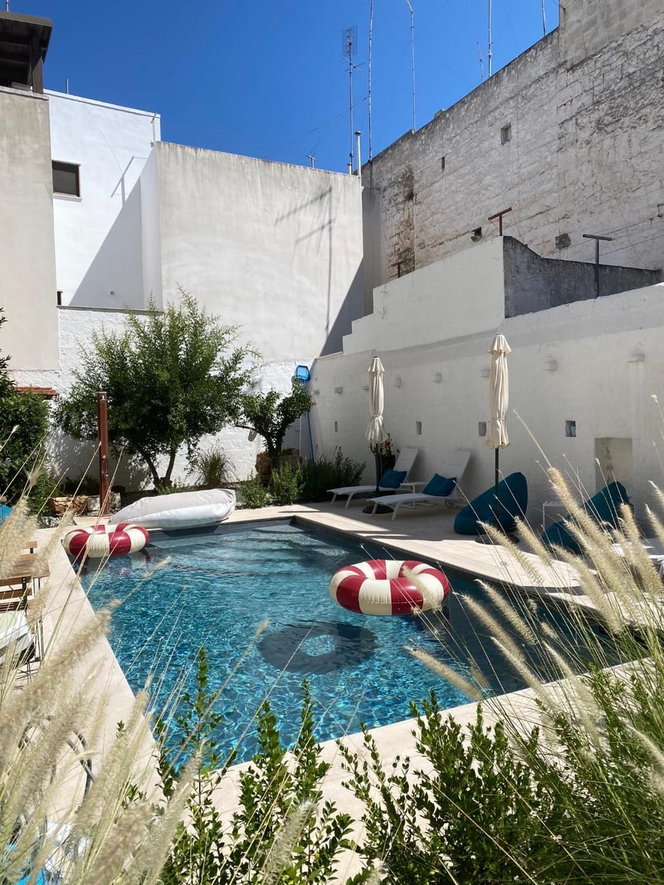 Day, Pool view, Swimming pool, sunbed