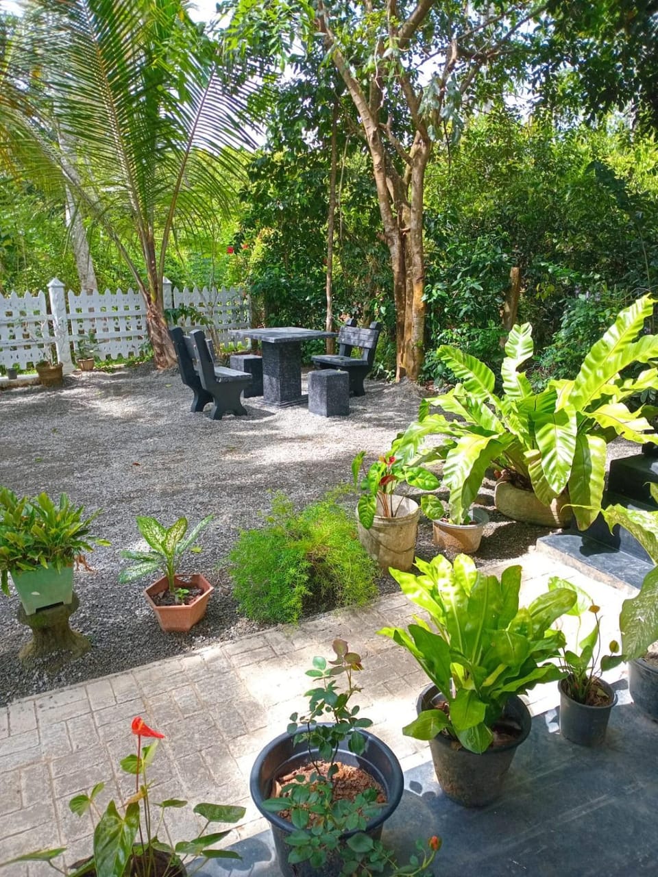 Cinnamon garden villa Villa in Southern Province