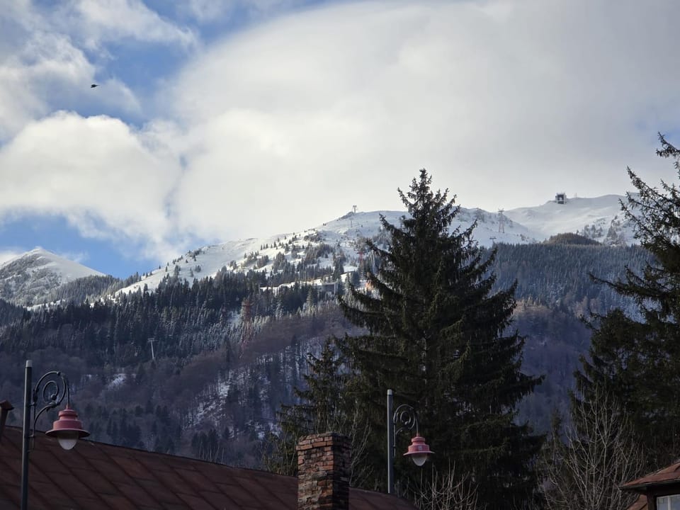 Natural landscape