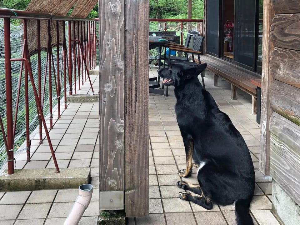 Cottage Self-sufficiency Seya Highlands - Vacation STAY 91982v House in Kyoto Prefecture