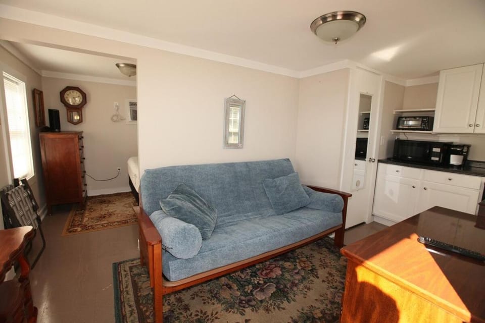 Kitchen or kitchenette, Living room, pet friendly