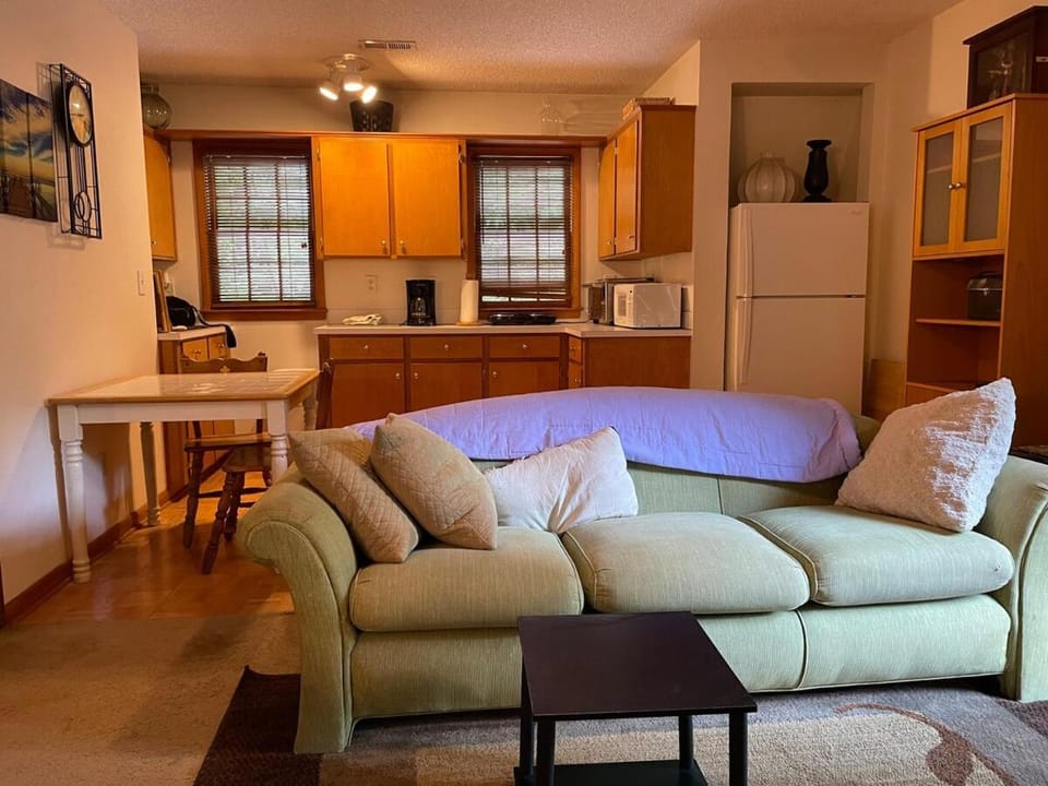 Diamond in the Rough Apartment in Huntersville