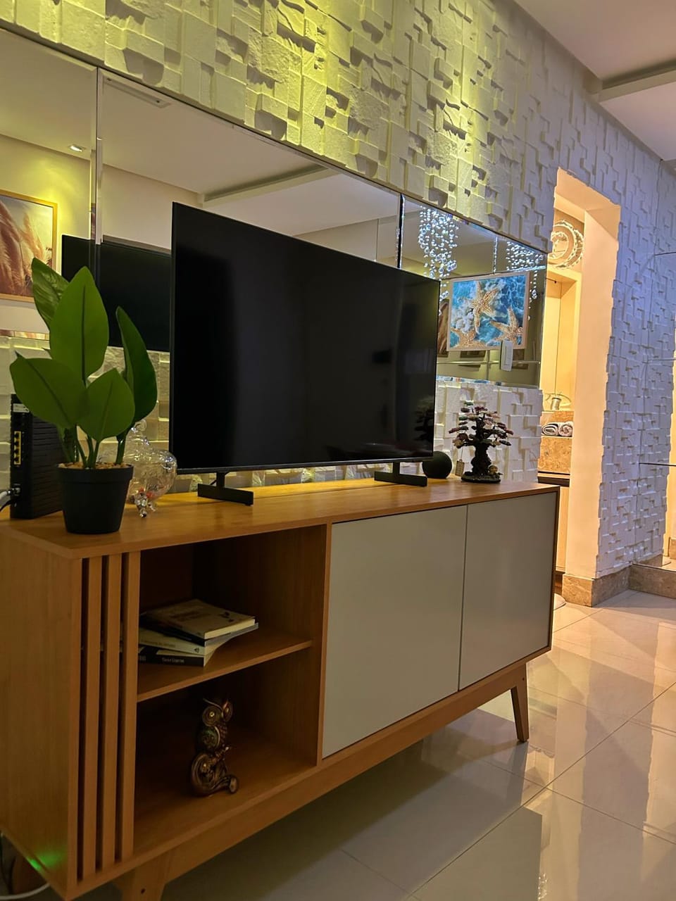 TV and multimedia