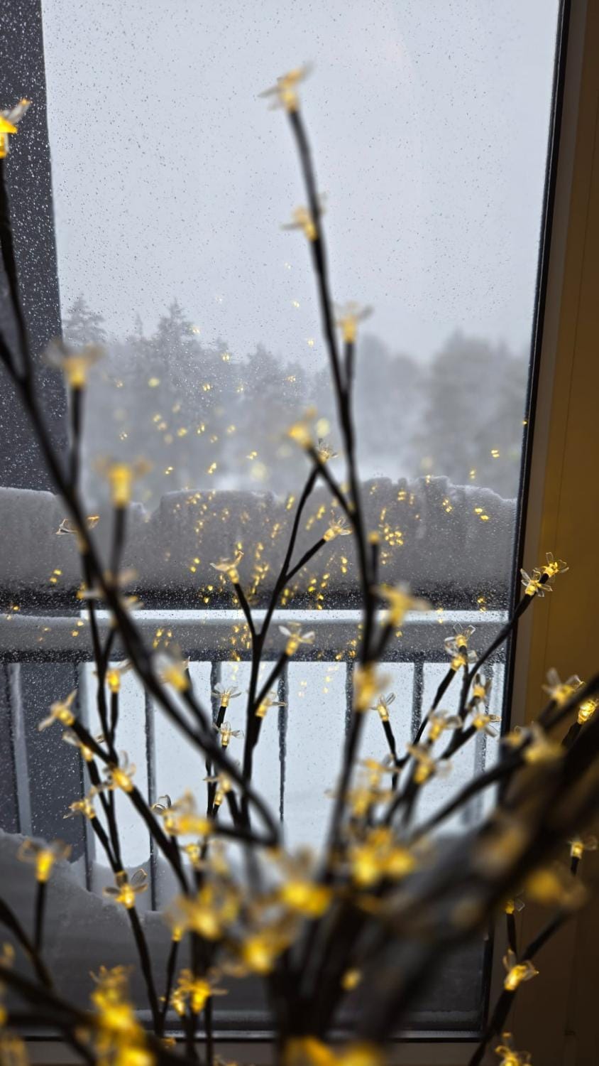 Day, View (from property/room)