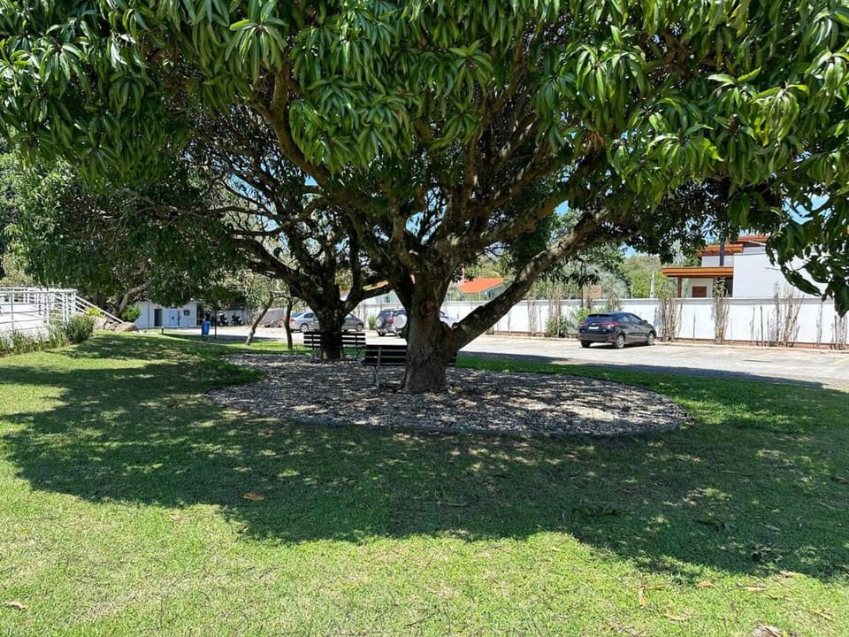 Spring, Day, Natural landscape, Garden, Garden, Garden view, Parking