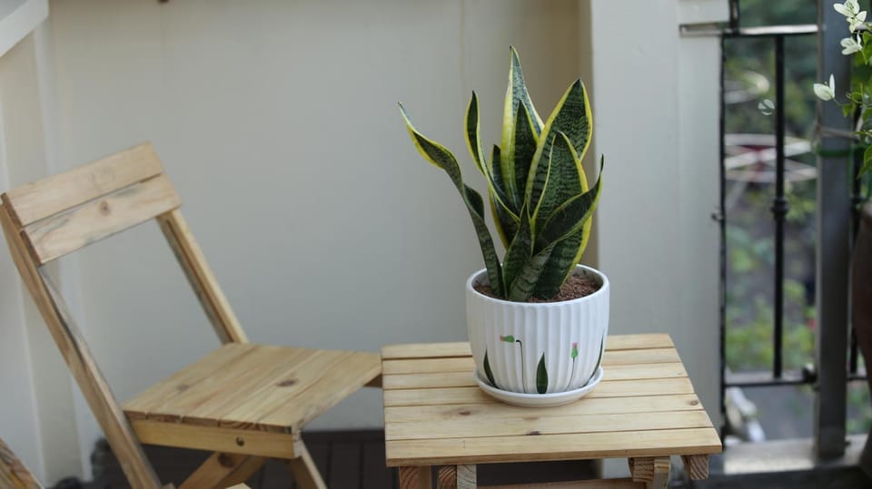 Coffee/tea facilities, Dining area