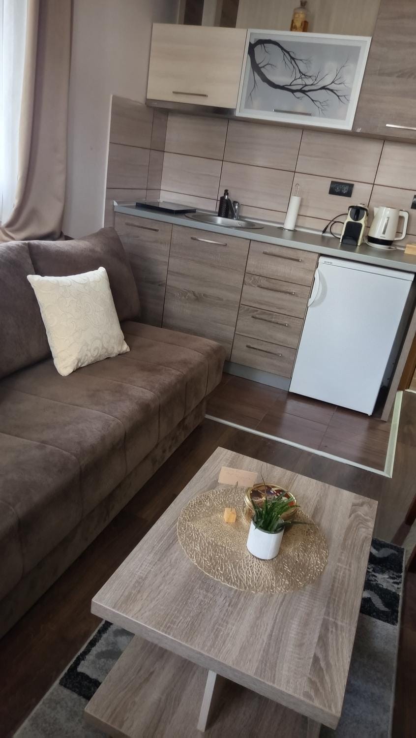 Apartman LuPa Apartment in Serbia