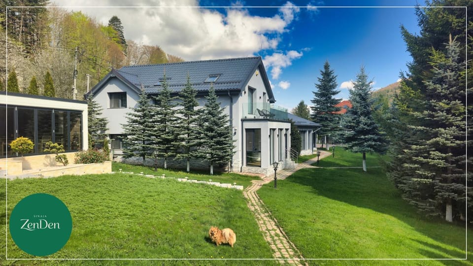Sinaia ZenDen - Private Villa & SPA Villa in Sinaia