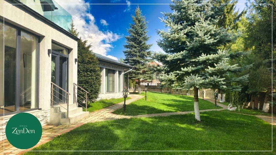 Sinaia ZenDen - Private Villa & SPA Villa in Sinaia