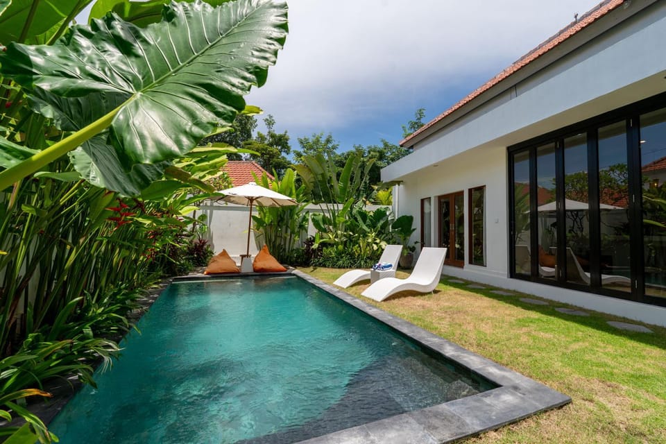Pool view, Swimming pool