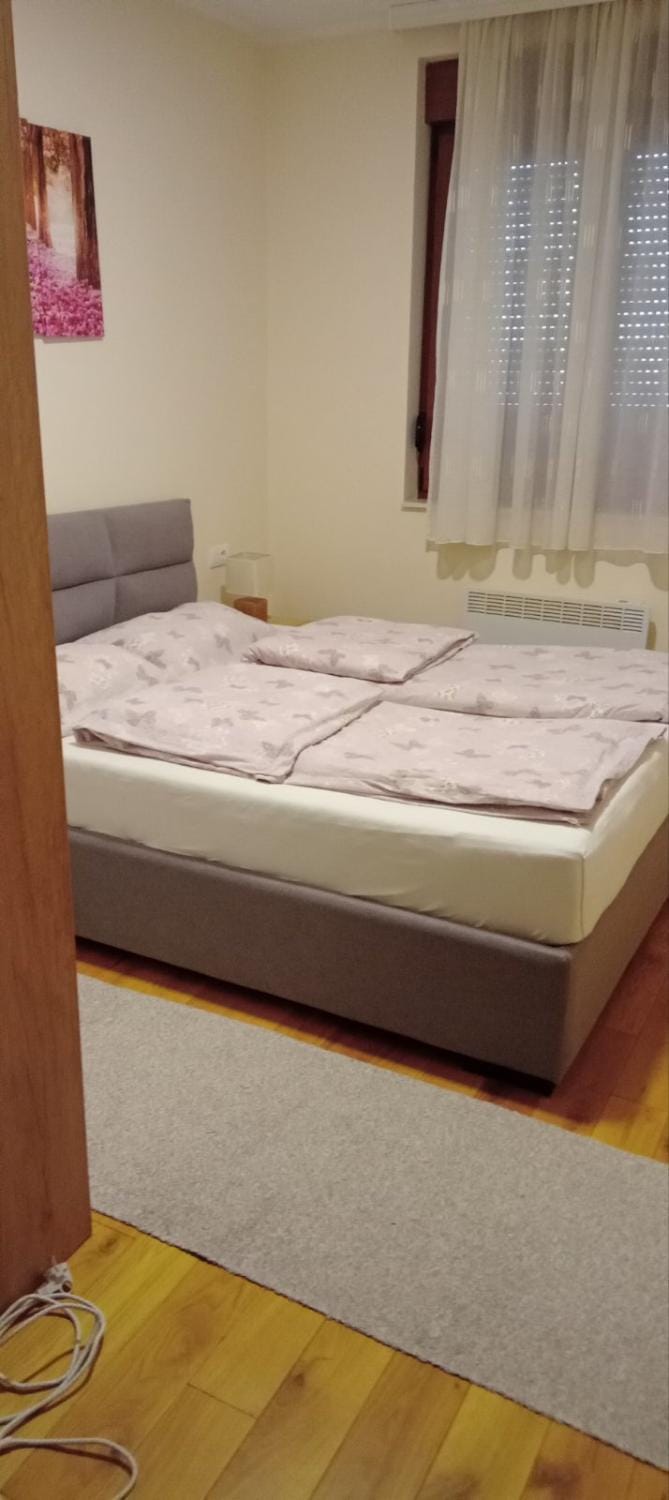 Apartman Rodjo Apartment in Zlatibor