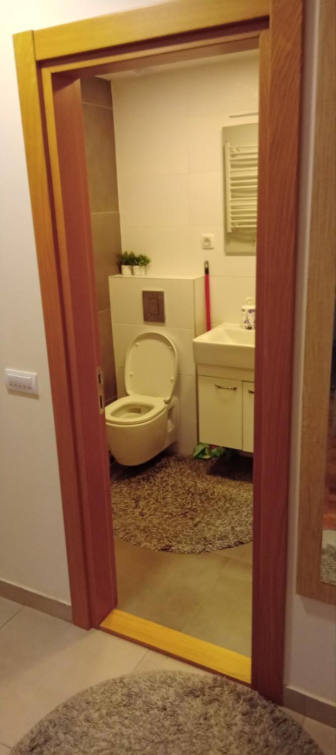 Apartman Rodjo Apartment in Zlatibor