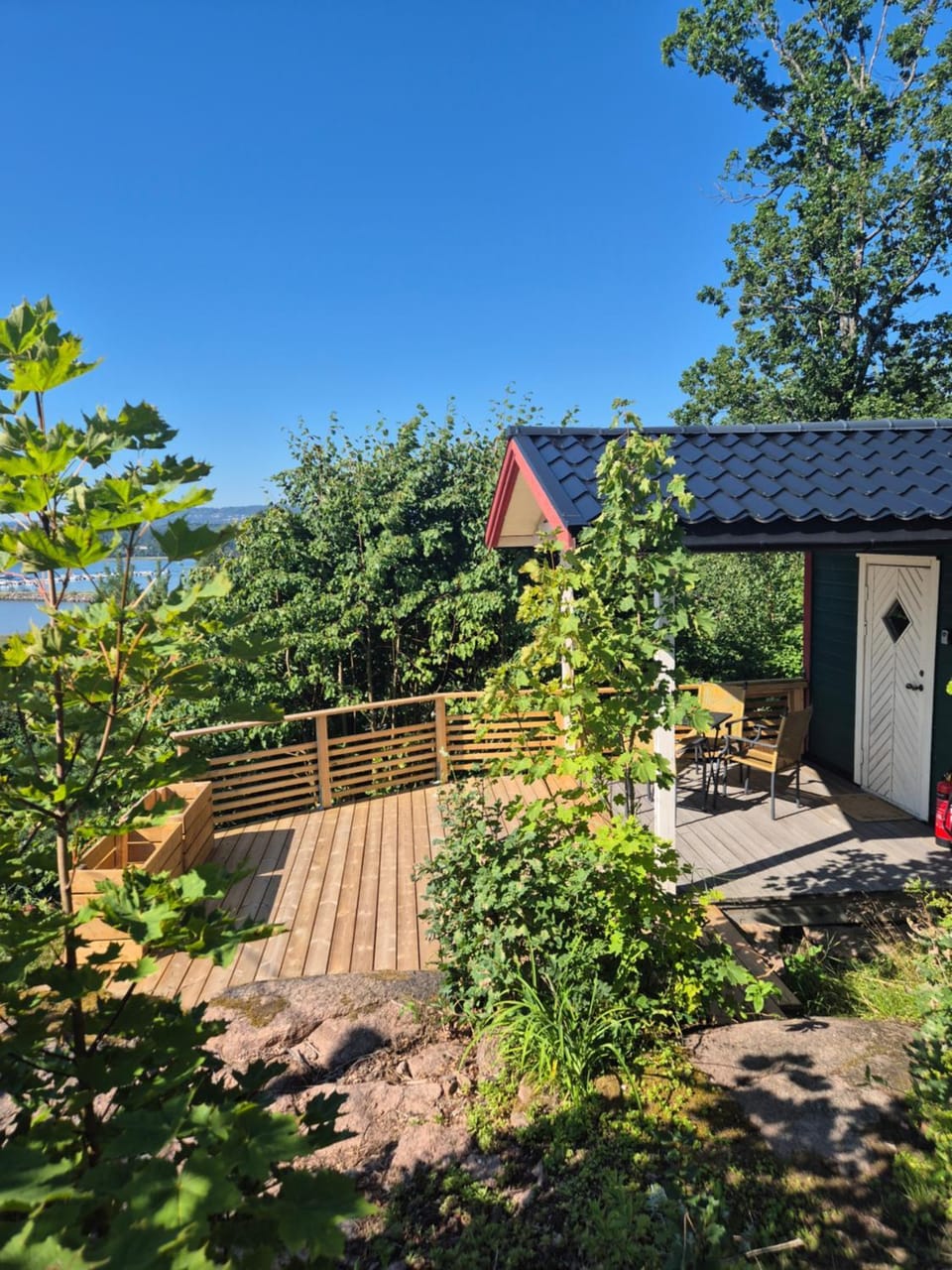 Garden view