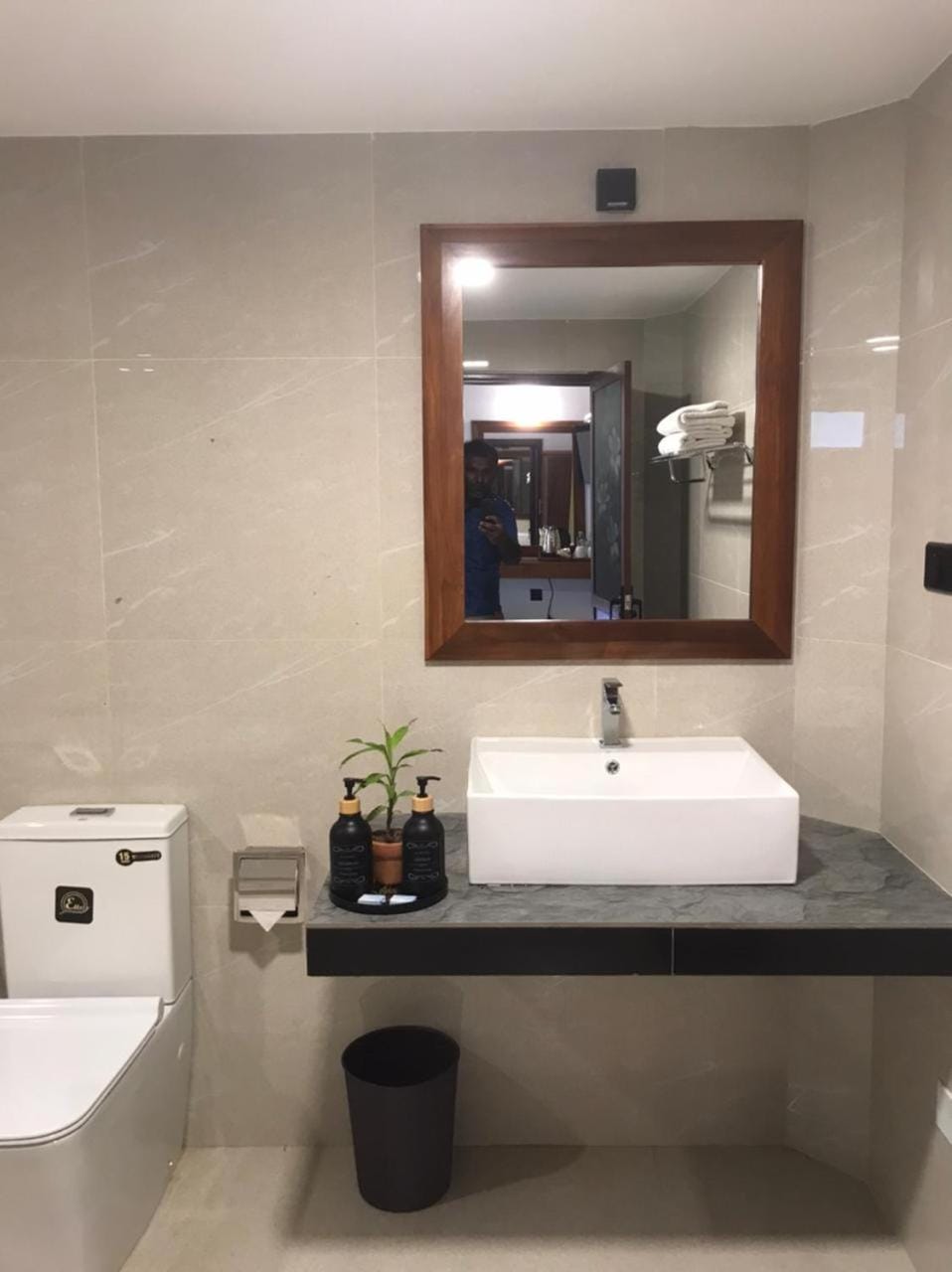 Toilet, Bathroom